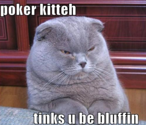 poker-kitty 